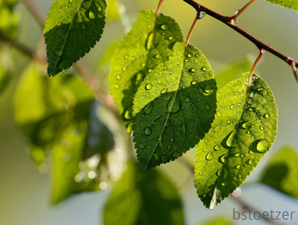 851 7952 DxO Web Schnitt corr 941 1846