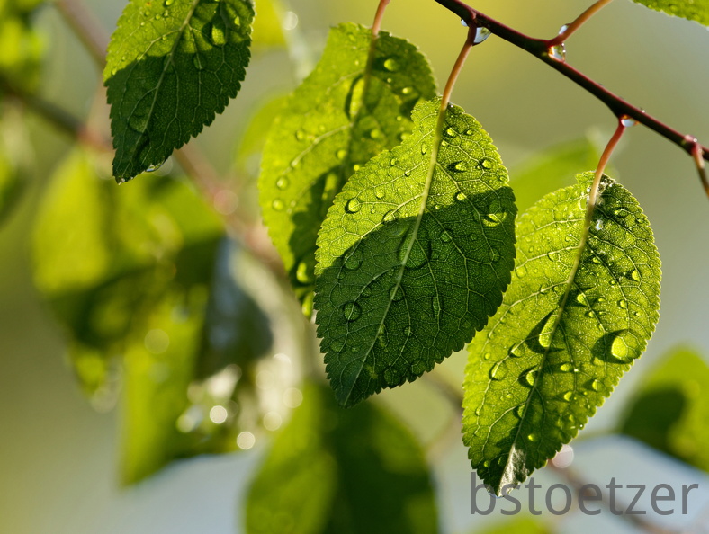 851 7952 DxO Web Schnitt corr 941 1846