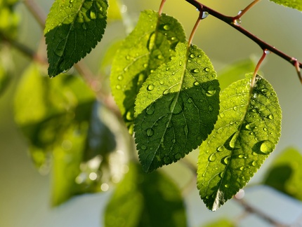 851 7952 DxO Web Schnitt corr 941 1846