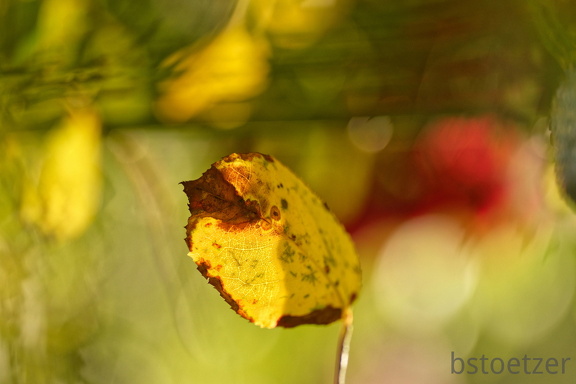 851 9799 DxO Web Schnitt corr 933 1836