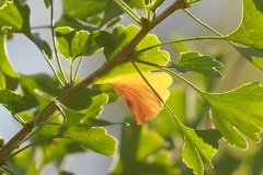 851 9841 DxO Web Schnitt 982 1842