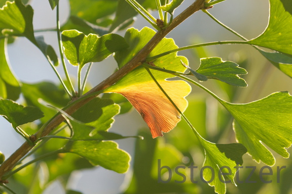 851 9841 DxO Web Schnitt 982 1842