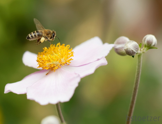 850 8849 DxO com 1884