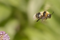 851 5352 DxO Web 1879