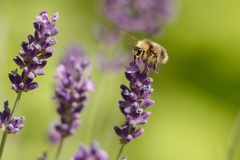 851 6454 DxO Web Schnitt corr 943