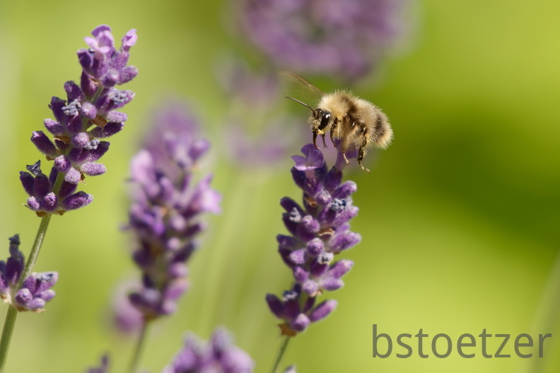 851 6454 DxO Web Schnitt corr 943