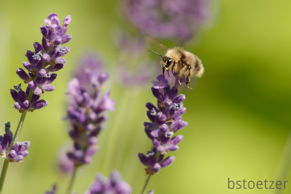 851 6454 DxO Web Schnitt corr 943