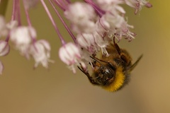 851 7731 DxO Web Schnitt 1880