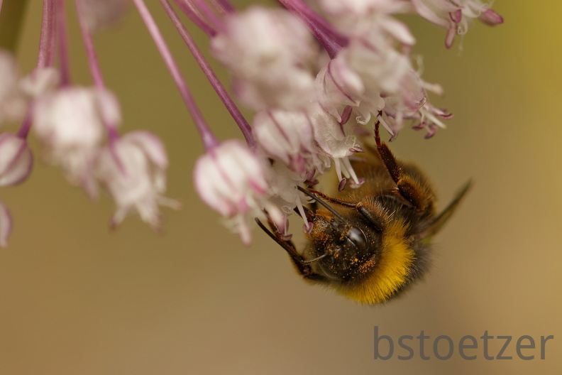 851 7731 DxO Web Schnitt 1880