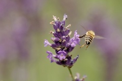 851 8055 DxO Web Schnitt 767 1877