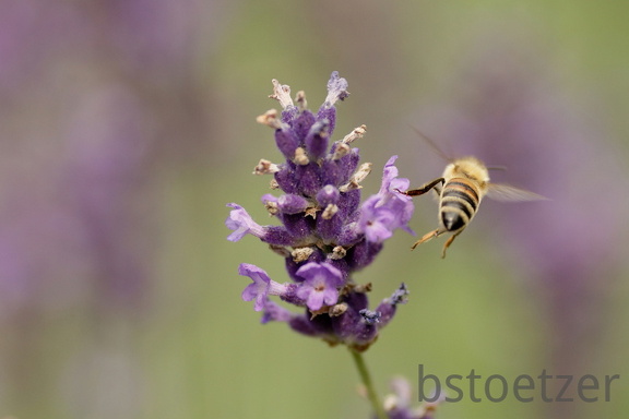 851 8055 DxO Web Schnitt 767 1877