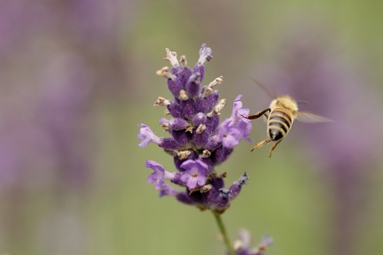 851 8055 DxO Web Schnitt 767 1877