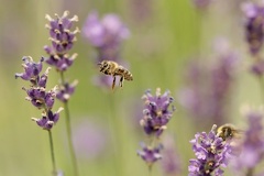 851 8107 DxO Web Schnitt 758 1873