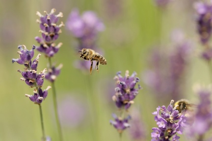 851 8107 DxO Web Schnitt 758 1873