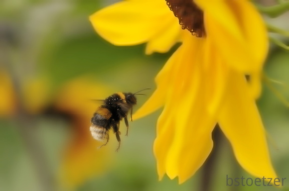 A32 4404 Schnitt com