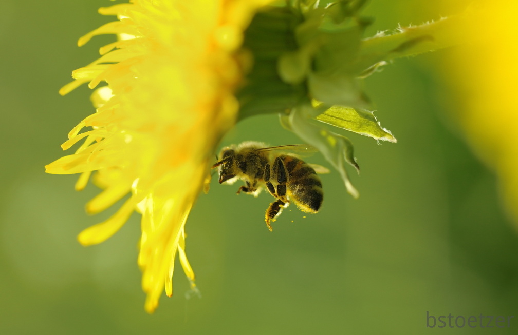 A33 3227 2 Schnitt 1869