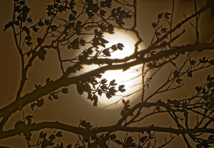 851 0392 DxO Web Schnitt 1912