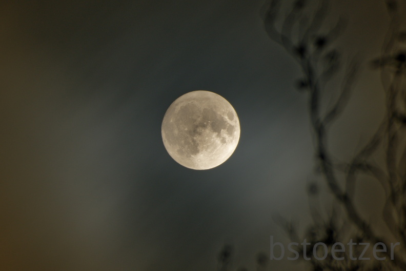 851 0443 DxO Web Schnitt 1913