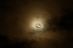 851 0474 DxO Web Schnitt-1 1914