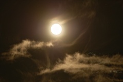 851 0503 DxO Web Schnitt 1916