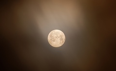 851 1337 DxO select 1918