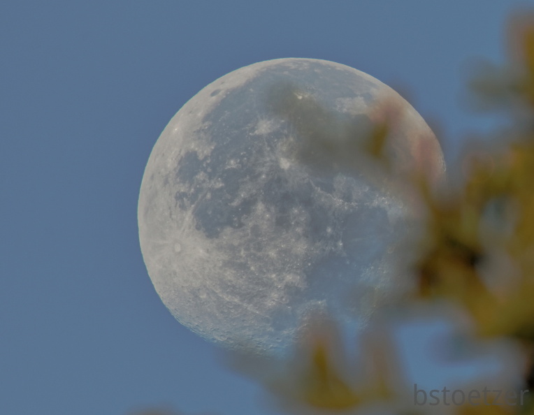 851 9555 DxO Web Schnitt 1920