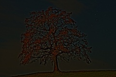 851 0490 DxO Web Schnitt 1922