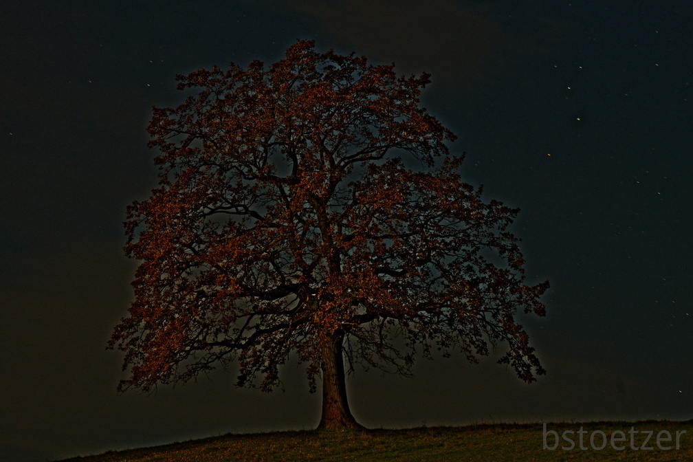 851 0490 DxO Web Schnitt 1922