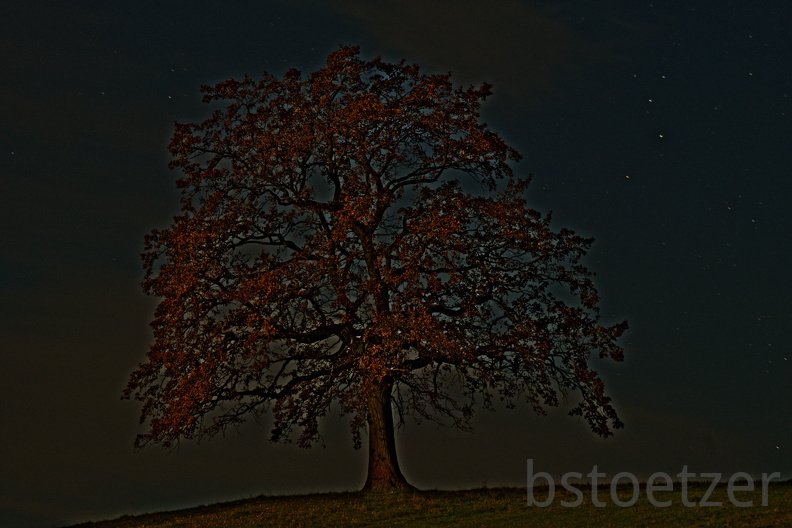 851 0490 DxO Web Schnitt 1922