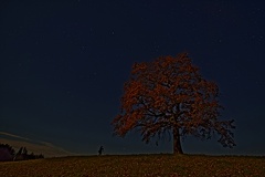 851 0538 DxO Web Schnitt 1333 1933