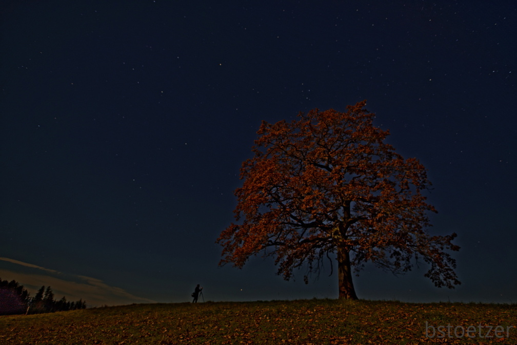 851 0538 DxO Web Schnitt 1333 1933