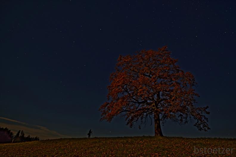 851 0538 DxO Web Schnitt 1333 1933