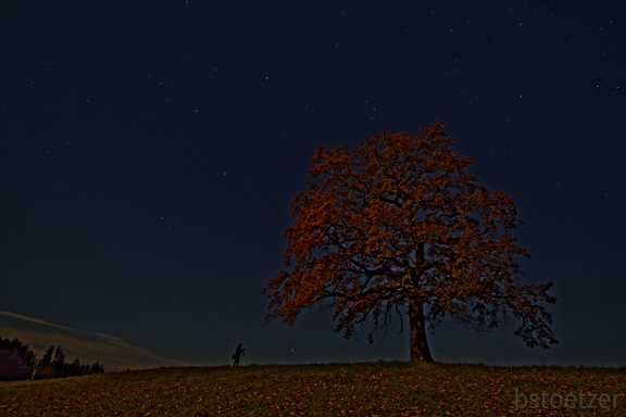 851 0538 DxO Web Schnitt 1333 1933