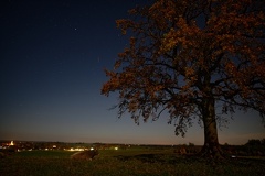 851 0541 DxO Web Schnitt 1934