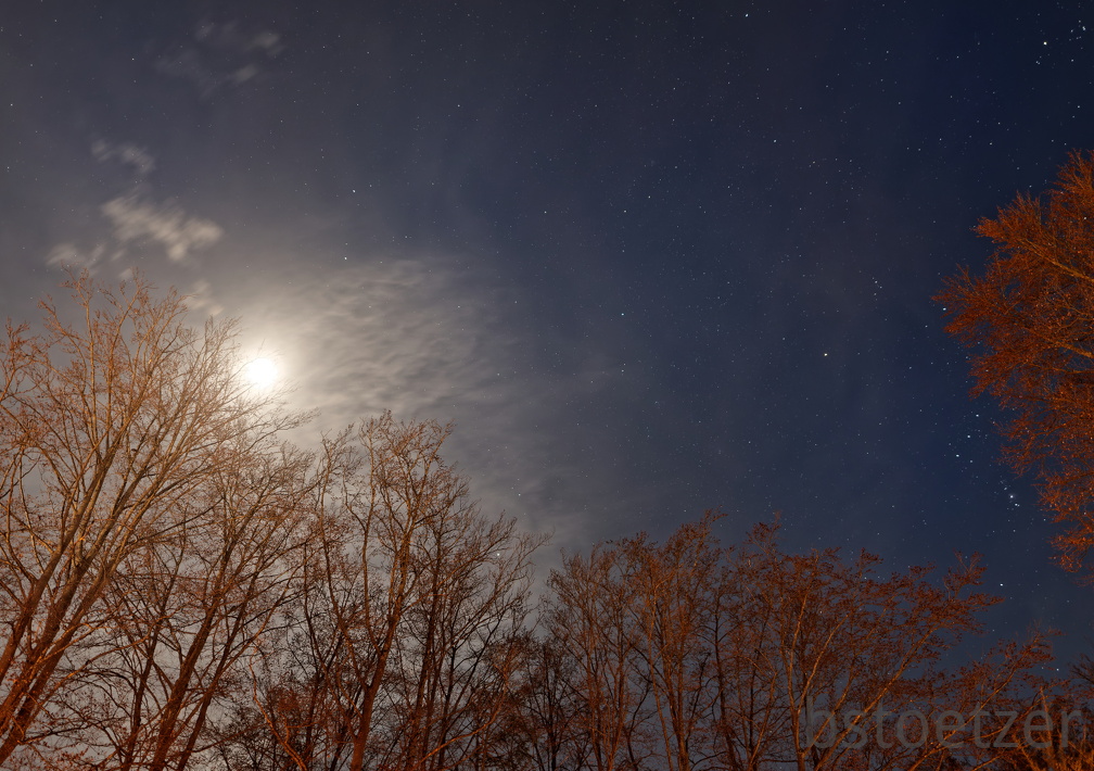 851 0851 DxO Web Schnitt-1 1936