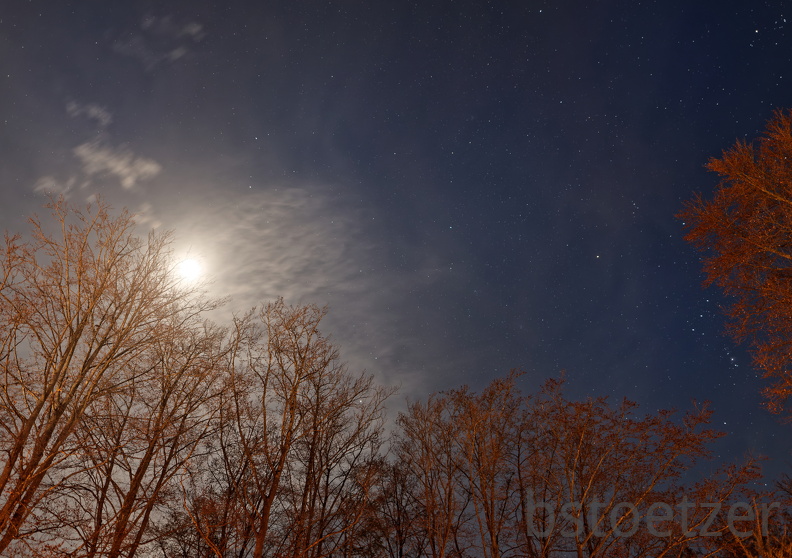 851 0851 DxO Web Schnitt-1 1936