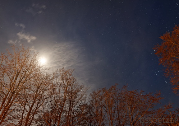 851 0851 DxO Web Schnitt-1 1936