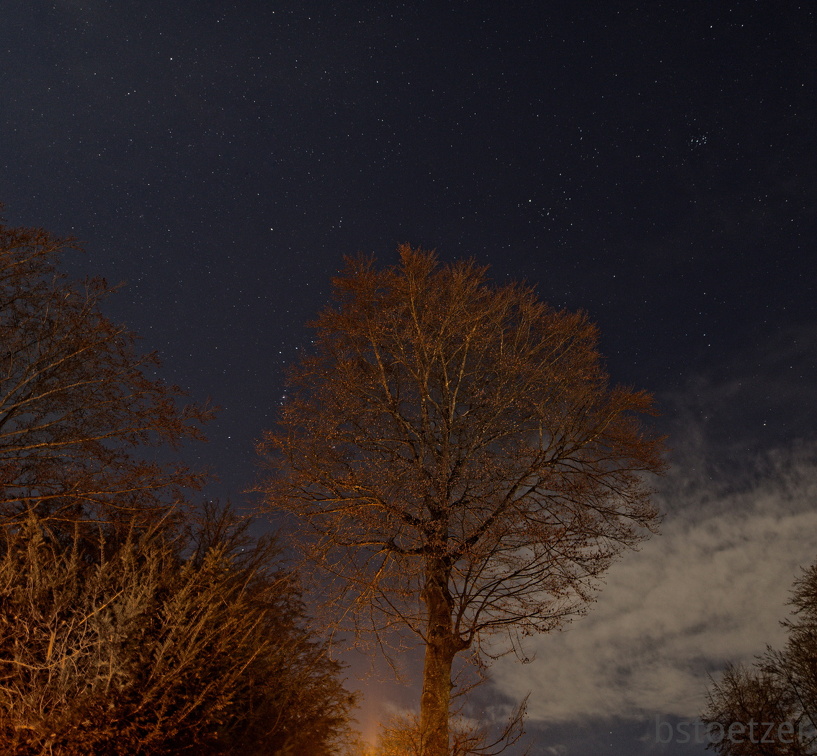 851 0855 DxO Web Schnitt-1 1370 1937