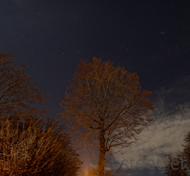 851 0855 DxO Web Schnitt-1 1370 1937