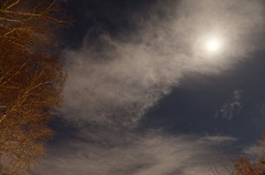 851 0863 DxO Web Schnitt-1 1938