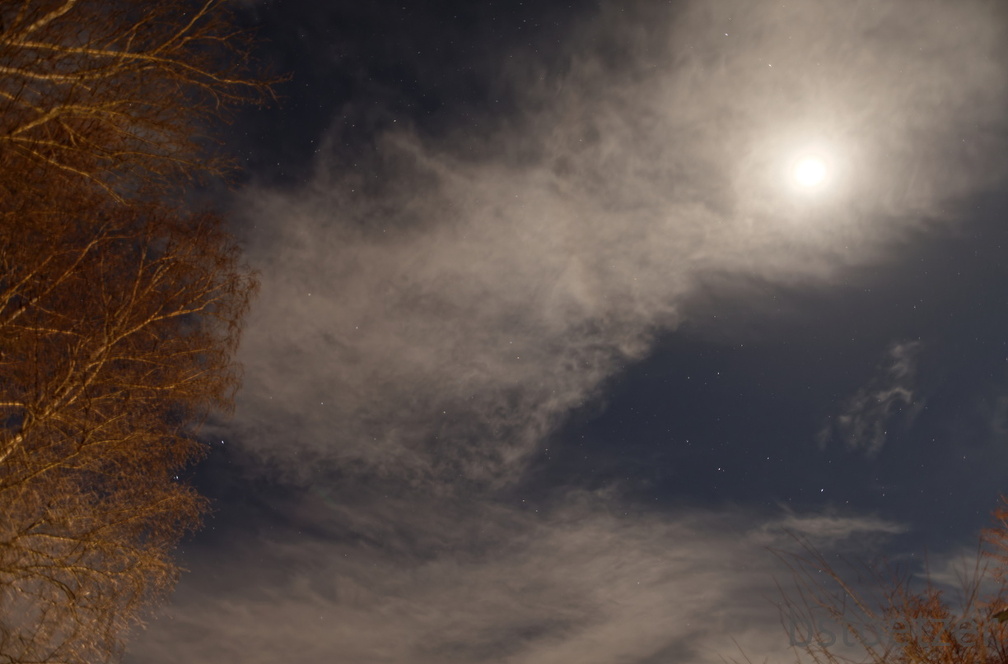 851 0863 DxO Web Schnitt-1 1938