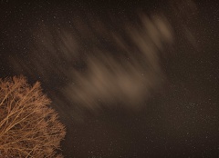 851 1599 DxO select 1939