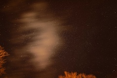 851 1601 DxO select 1940