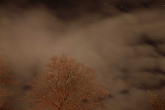 851 1605 DxO select 1941