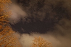 851 1627 DxO select 1942