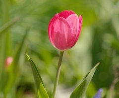 851 3627 DxO select 1484