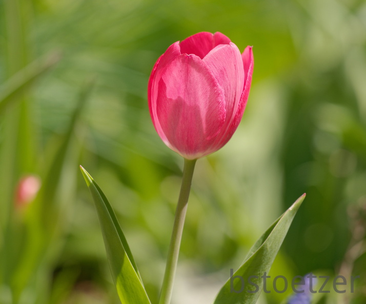 851 3627 DxO select 1484