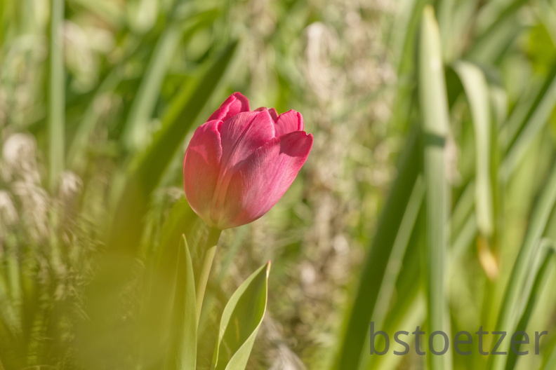 851 3643 DxO select 1485