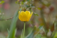 851 3747 DxO selectWeb