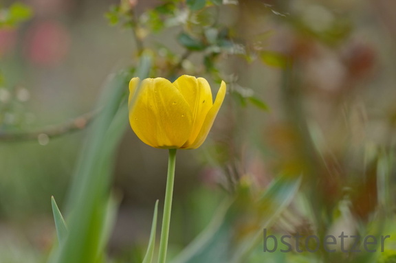 851 3747 DxO selectWeb